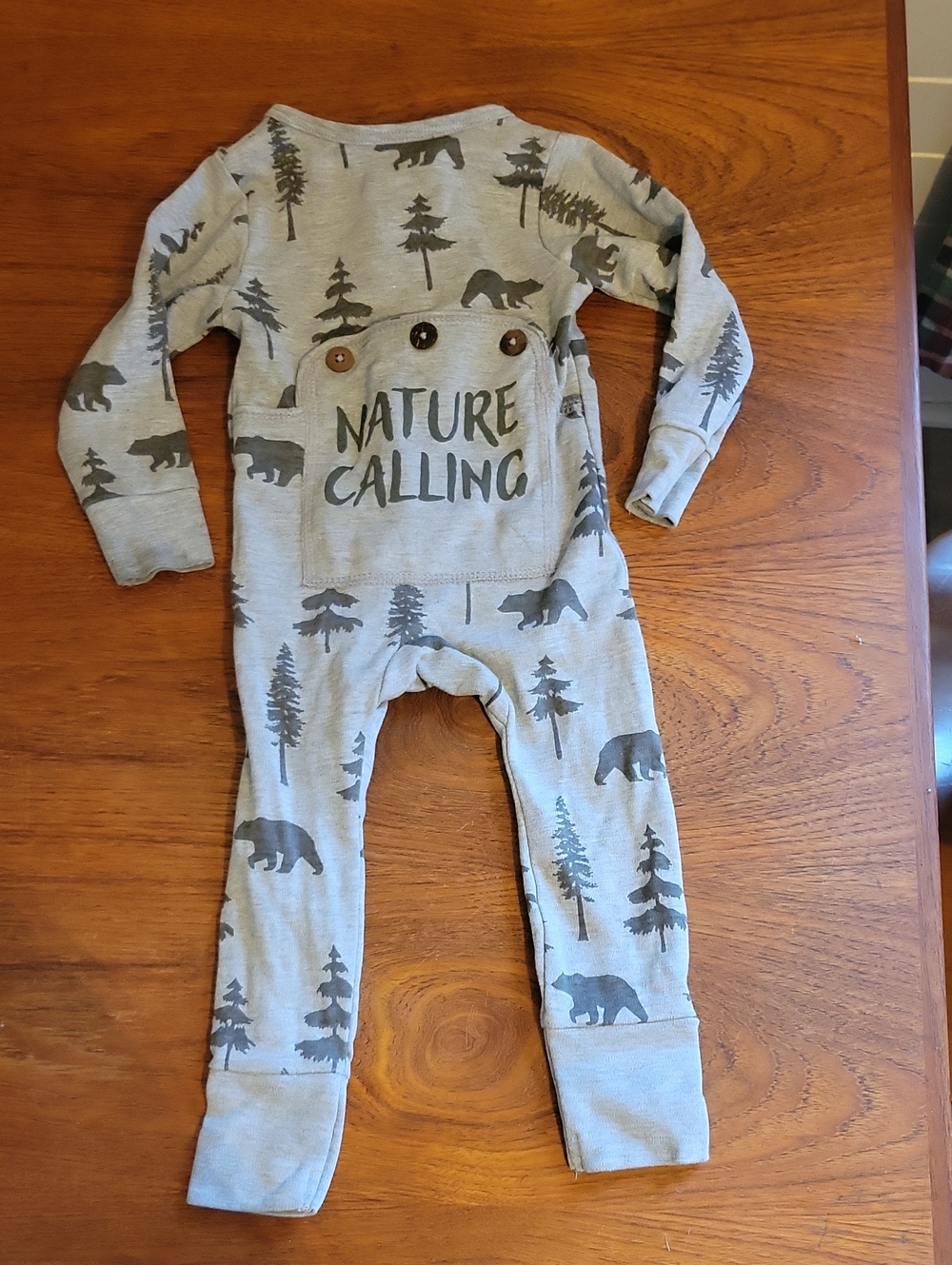 Zip Bear Pajamas